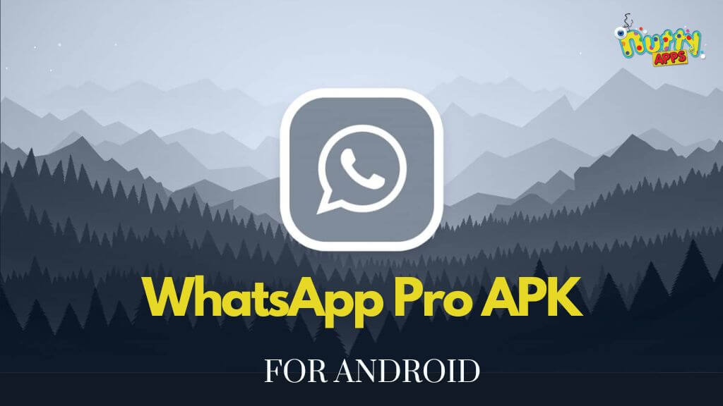 WhatsApp Pro Update